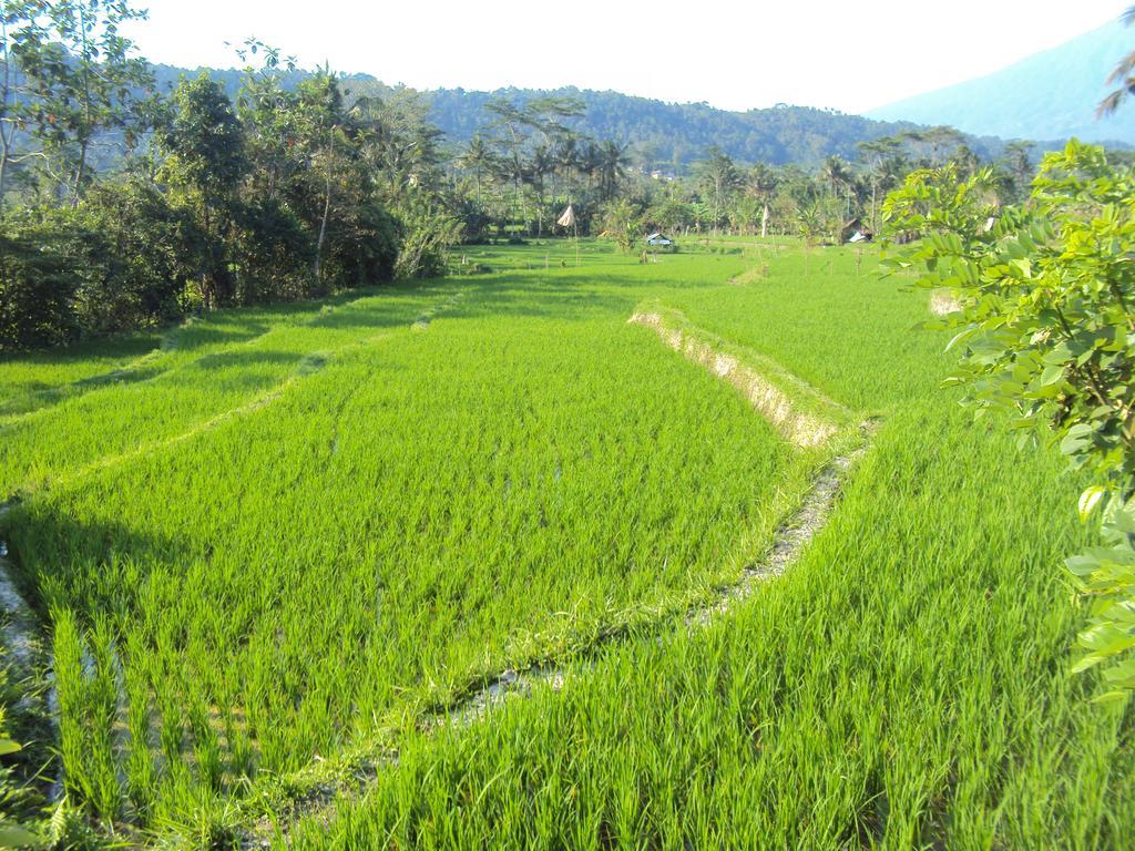 Villa Uma Ayu Sidemen Sidemen  Ngoại thất bức ảnh