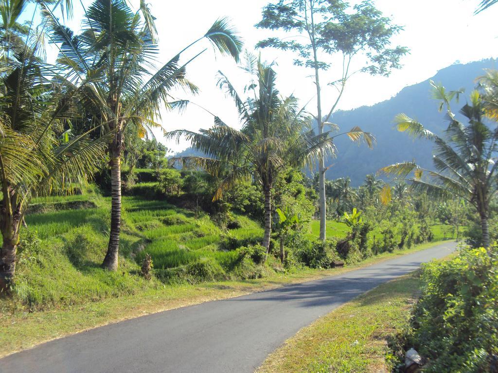 Villa Uma Ayu Sidemen Sidemen  Ngoại thất bức ảnh