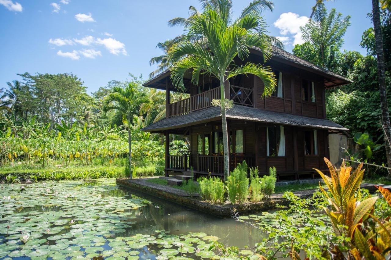 Villa Uma Ayu Sidemen Sidemen  Ngoại thất bức ảnh