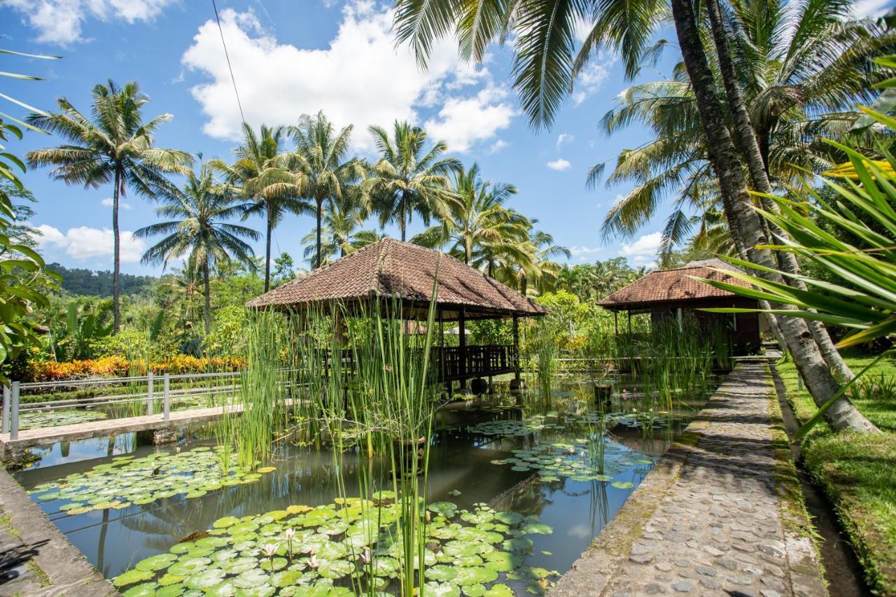 Villa Uma Ayu Sidemen Sidemen  Ngoại thất bức ảnh